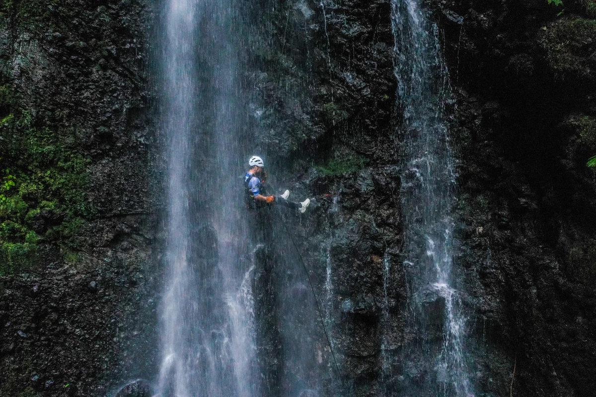 Zipline adventure through rainforest canopy